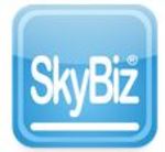 SkyBiz logo